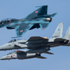 2016　No.174　『2016　岐阜基地航空祭』