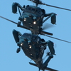2014 小牧基地航空祭 [UH×2]