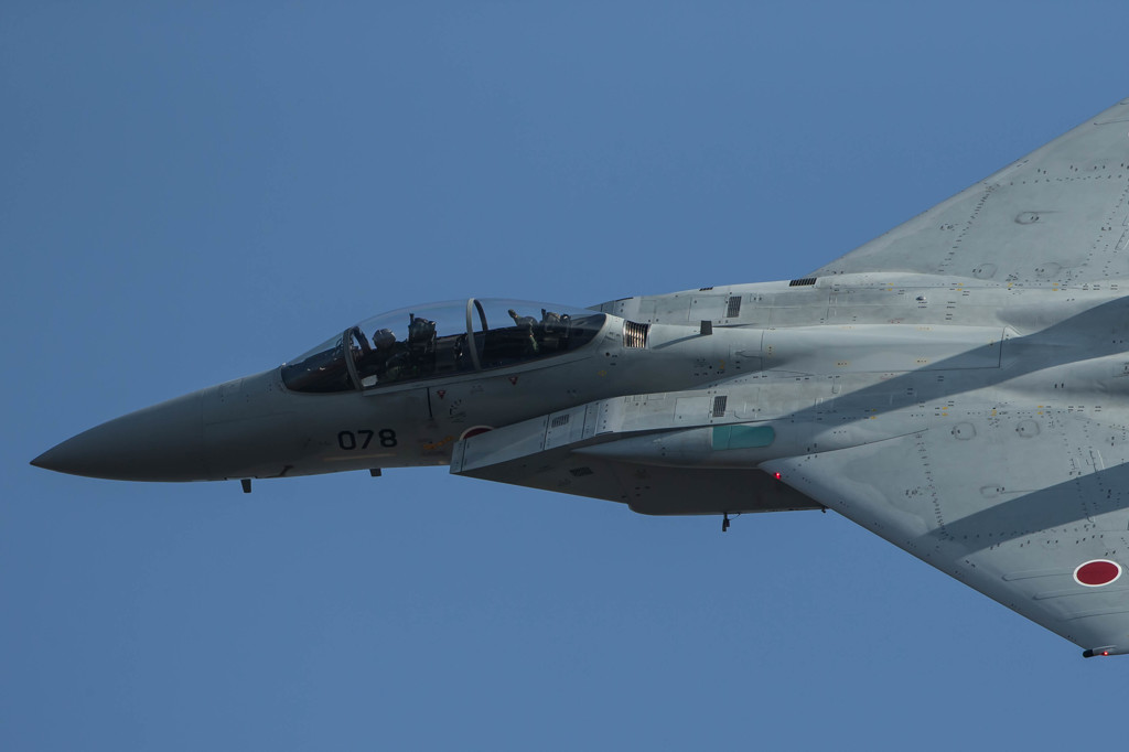 Reference 0004 [F-15DJ]