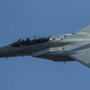 Reference 0004 [F-15DJ]