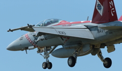 F/A-18F　D-BACK