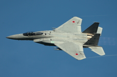 2013 岐阜基地航空祭予行　F-15J