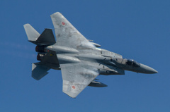 2014　浜松基地航空祭　F-15J