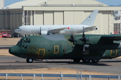 2014 小牧基地航空祭 [C-130]