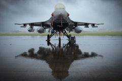 The Hawk Shrouded in Rain