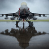 The Hawk Shrouded in Rain