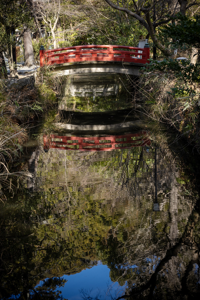冬澄みて 影も朱を帯び 太鼓橋