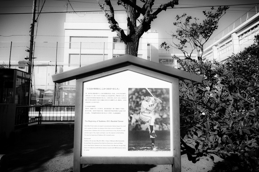 タワー或いはツリーと暮らす街
