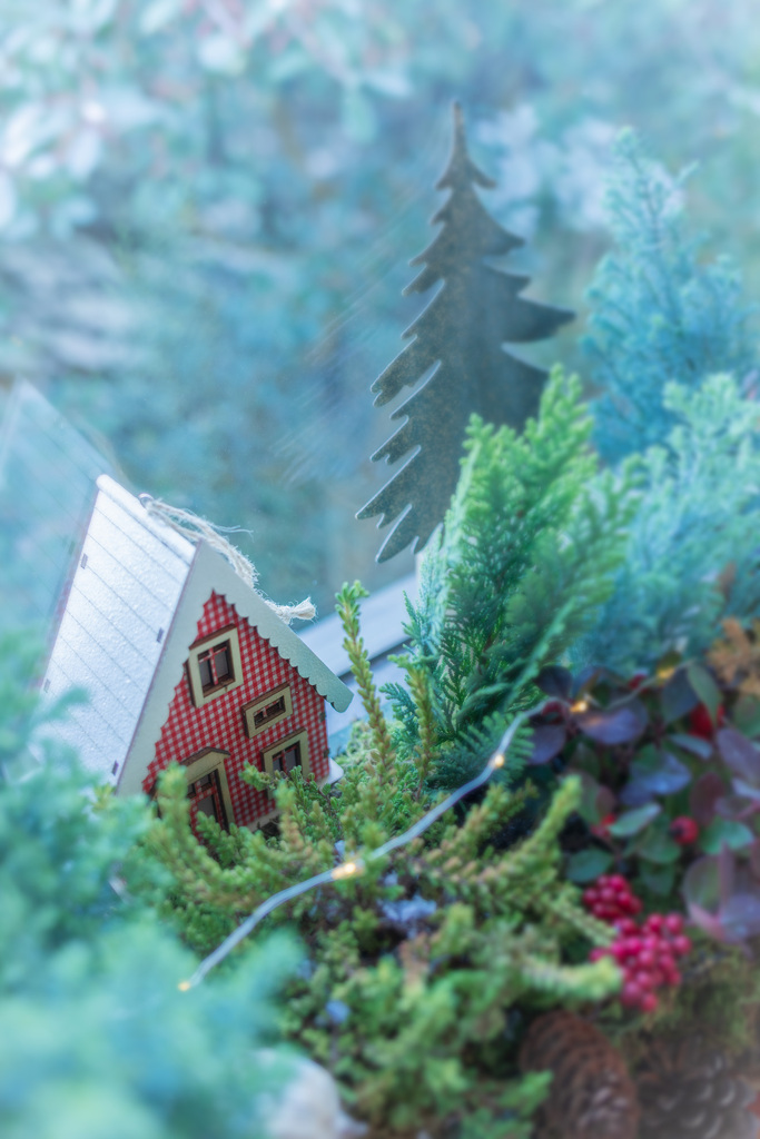 窓の向こうも、ほら冬の横浜。