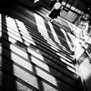 Stairs, Shadows, and Students
