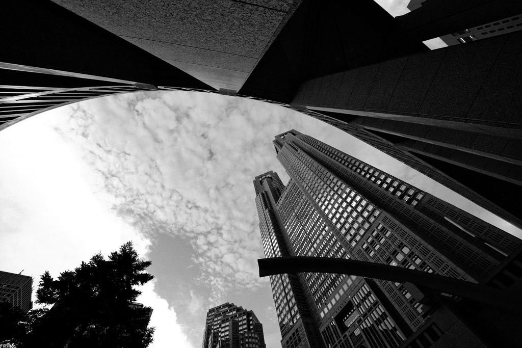 Metropolitan Government