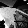 Metropolitan Government