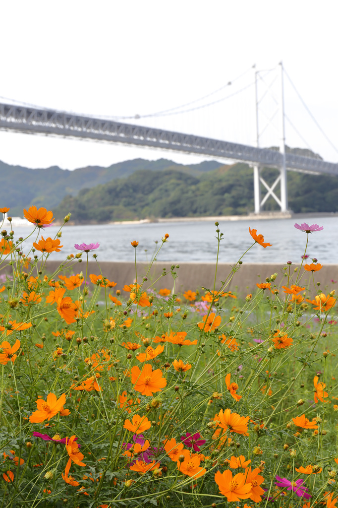 あの日しまなみ海道で
