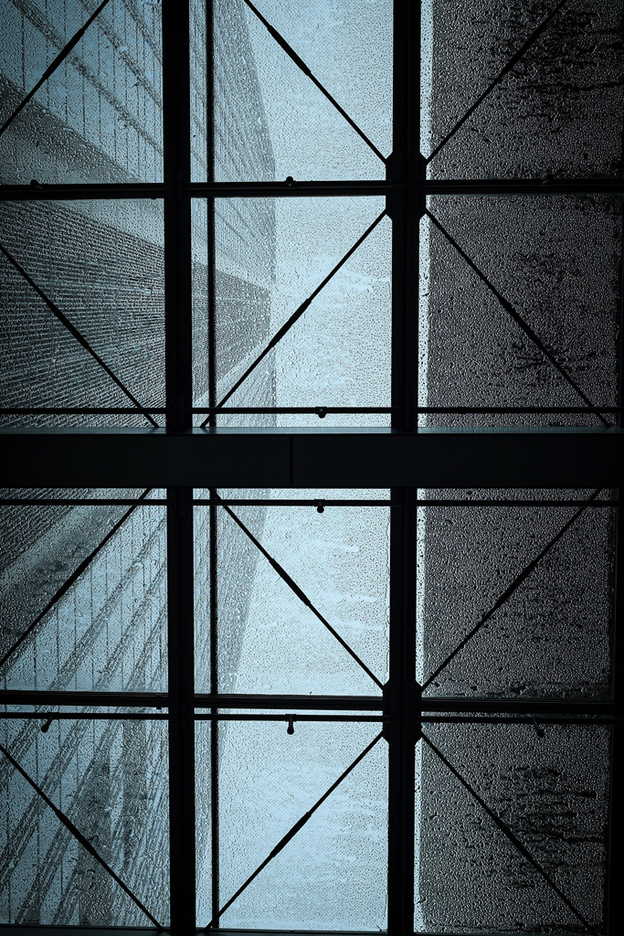 多くの場合、「ガラスの天井」は「ガラスの屋根」でもある。