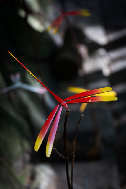 物・雑貨写真集