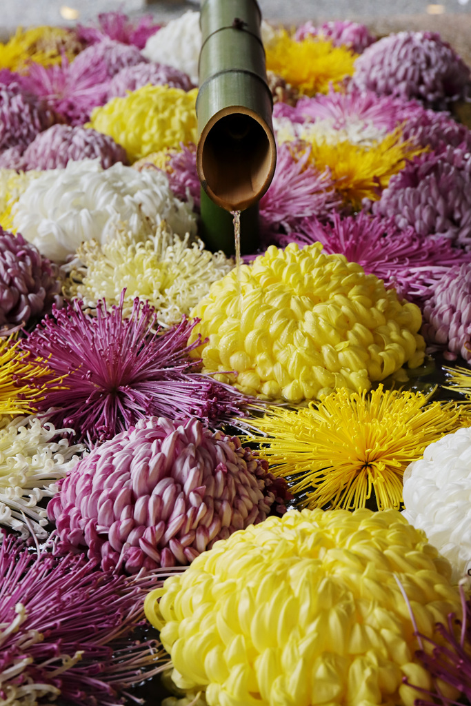 花手水