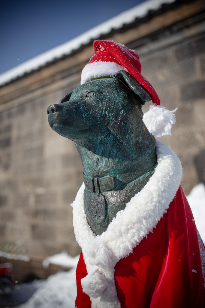小樽の動物たちはクリスマスの夢を見るか？