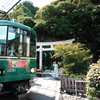 江ノ電と神社と紫陽花と