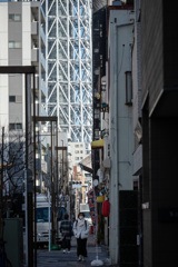 タワー或いはツリーと暮らす街