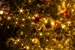 十二月の煌めき