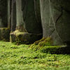 深苔色の絨毯