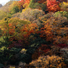 嵐山～秋。
