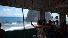 From the Ocean-view Train