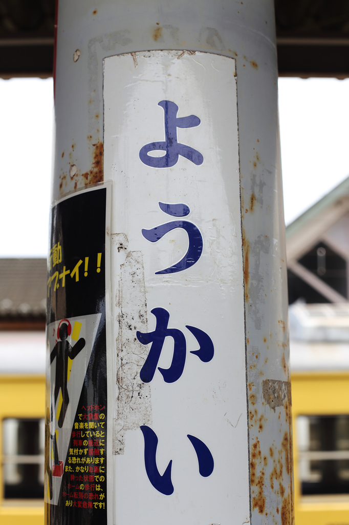 出るらしい