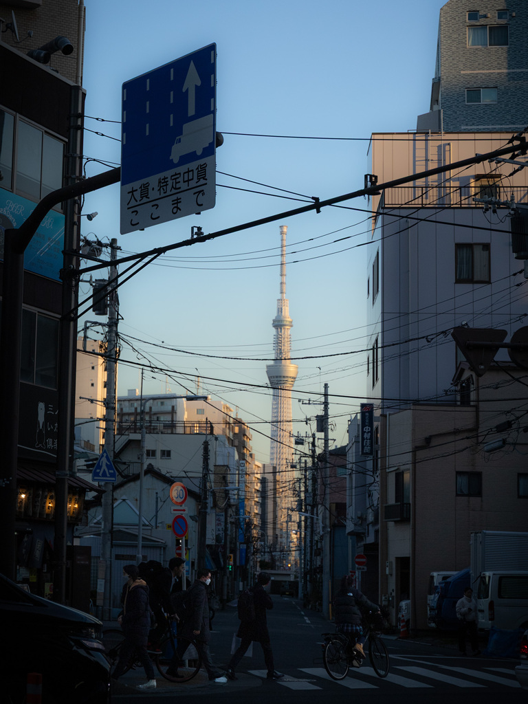 タワー或いはツリーと暮らす街