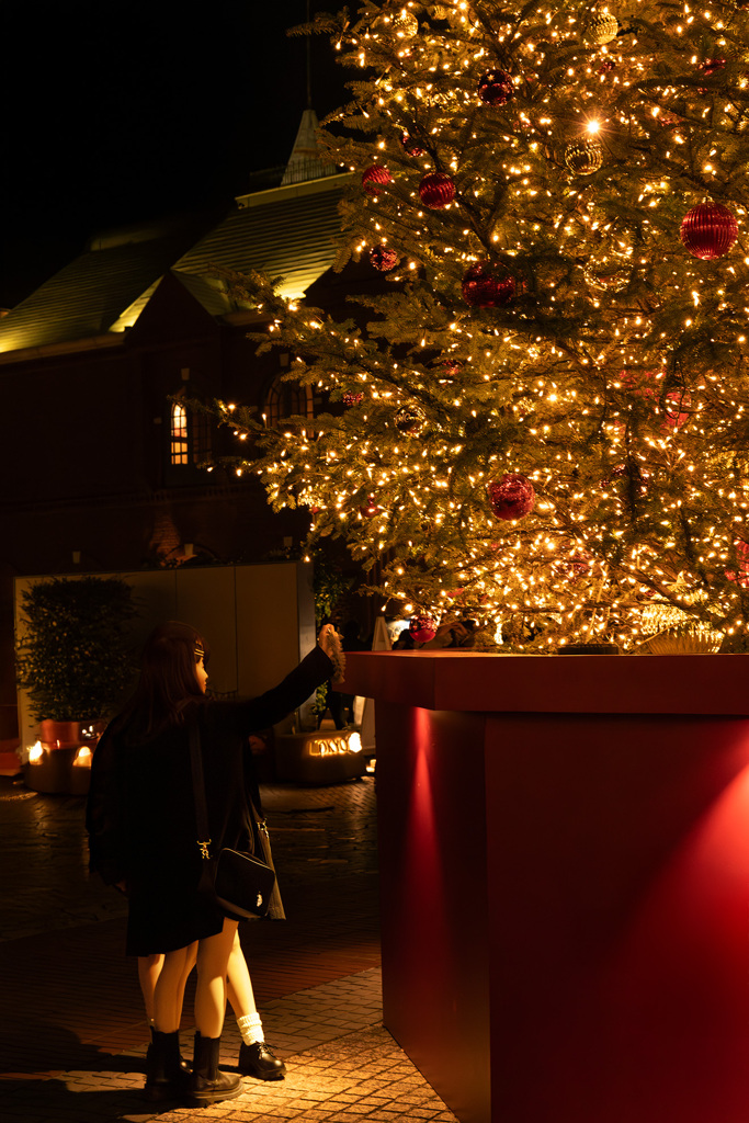 MaryChristmas