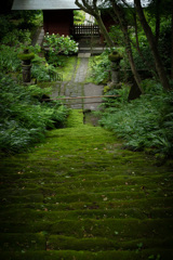 苔寺