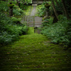 苔寺