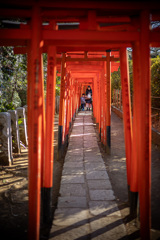 この子の五つのお祝いに。