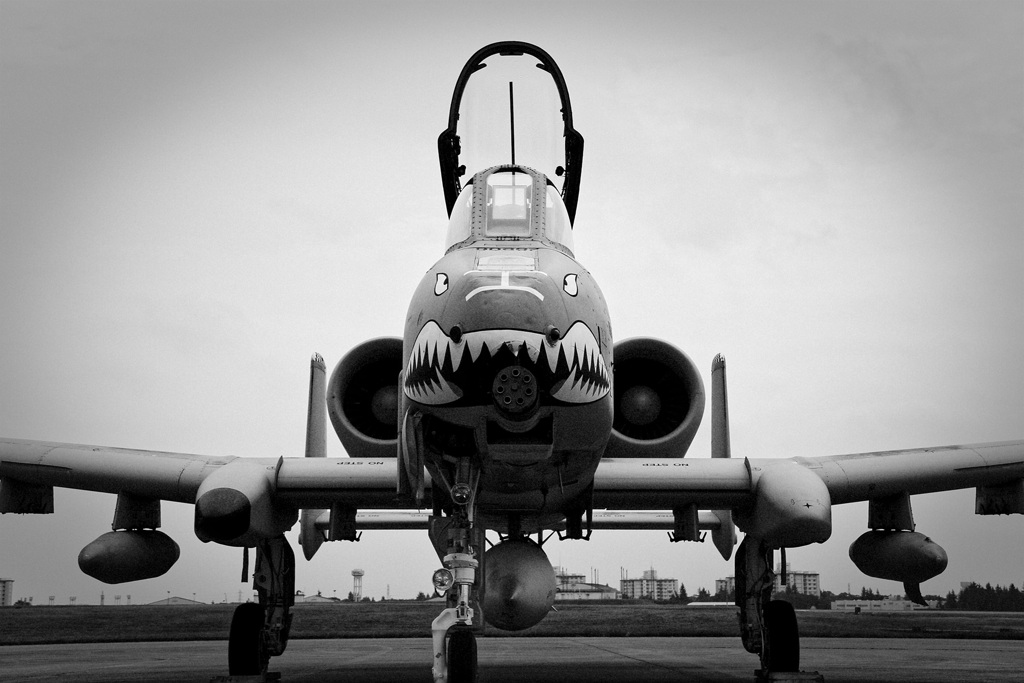 Warthog!