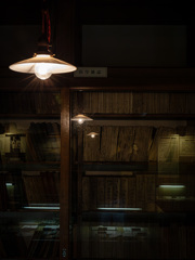 医学書の棚を照らしているのはその白熱灯だった。