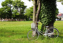 原っぱと自転車