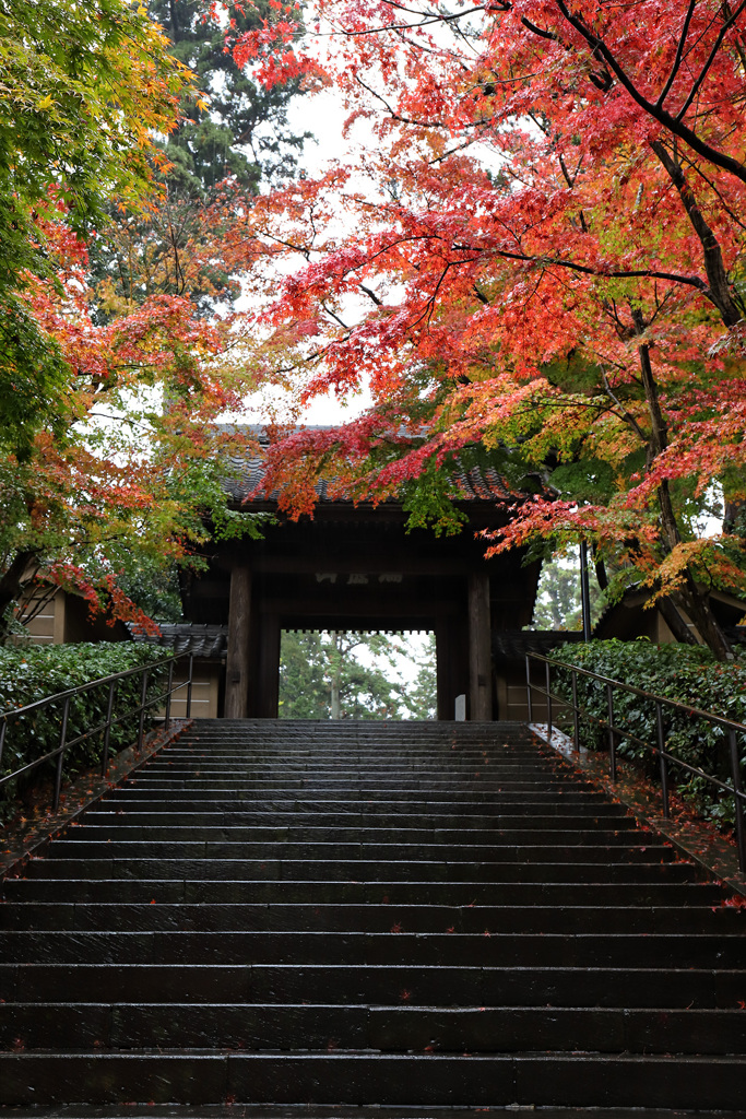 雨の円覚寺～総門