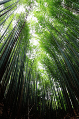 地から天へ