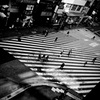 ZEBRA ZONE
