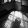 光と影のポトレ～鳥居本駅