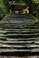 雨の石段