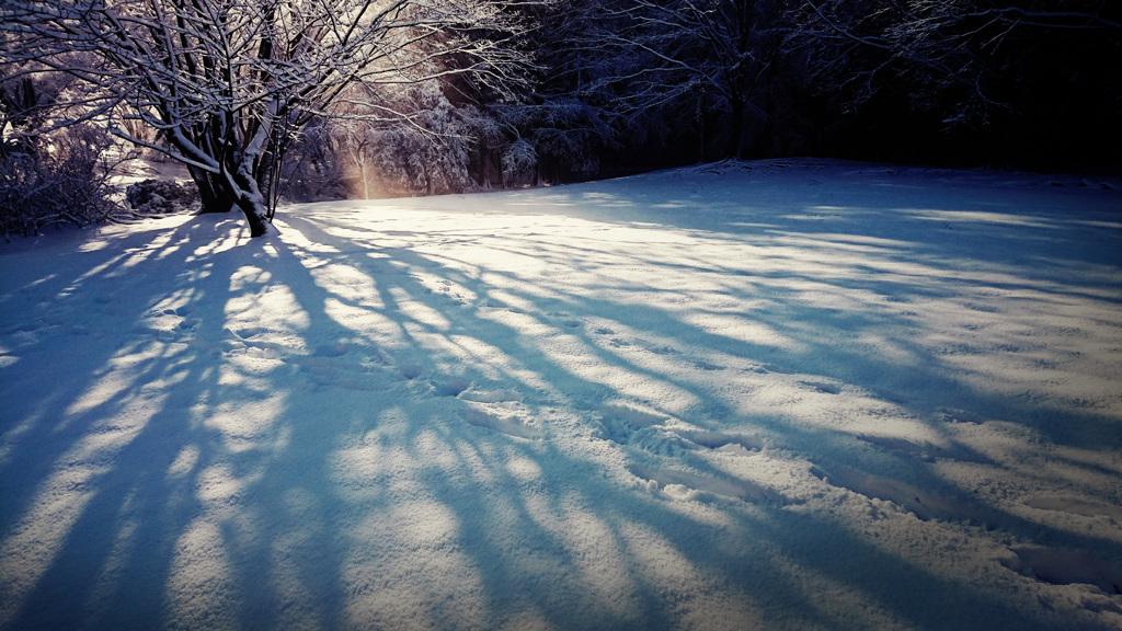 雪景色の朝 by ☆Monet （ID：7712840） - 写真共有サイト:PHOTOHITO