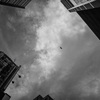 新宿ノ空