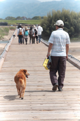 犬と歩けば木津川をわたる