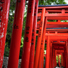 千本鳥居