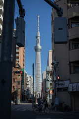 タワー或いはツリーと暮らす街
