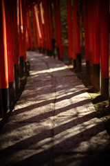 ここは何処の細道じゃ・・・