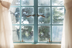 冬の光は温もり、そして希望。