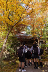 錦秋の校外学習