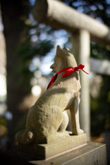 お稲荷さんの背中。